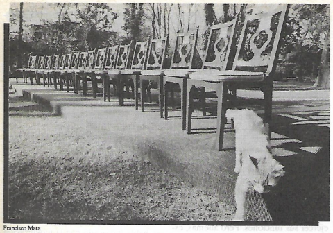 Magisterio:  el otoño de la primavera