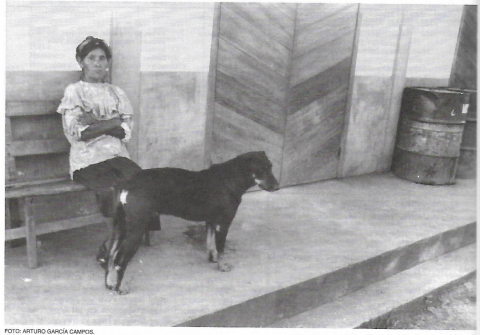 Café: la pobreza de la riqueza/la riqueza de la pobreza